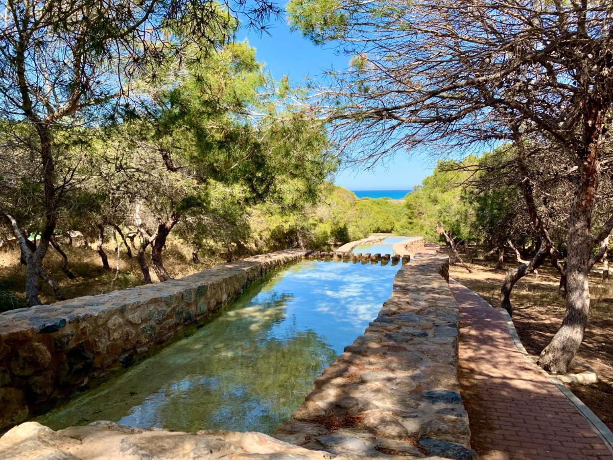 Your Holidays In La Mata تورّيفيِخا المظهر الخارجي الصورة