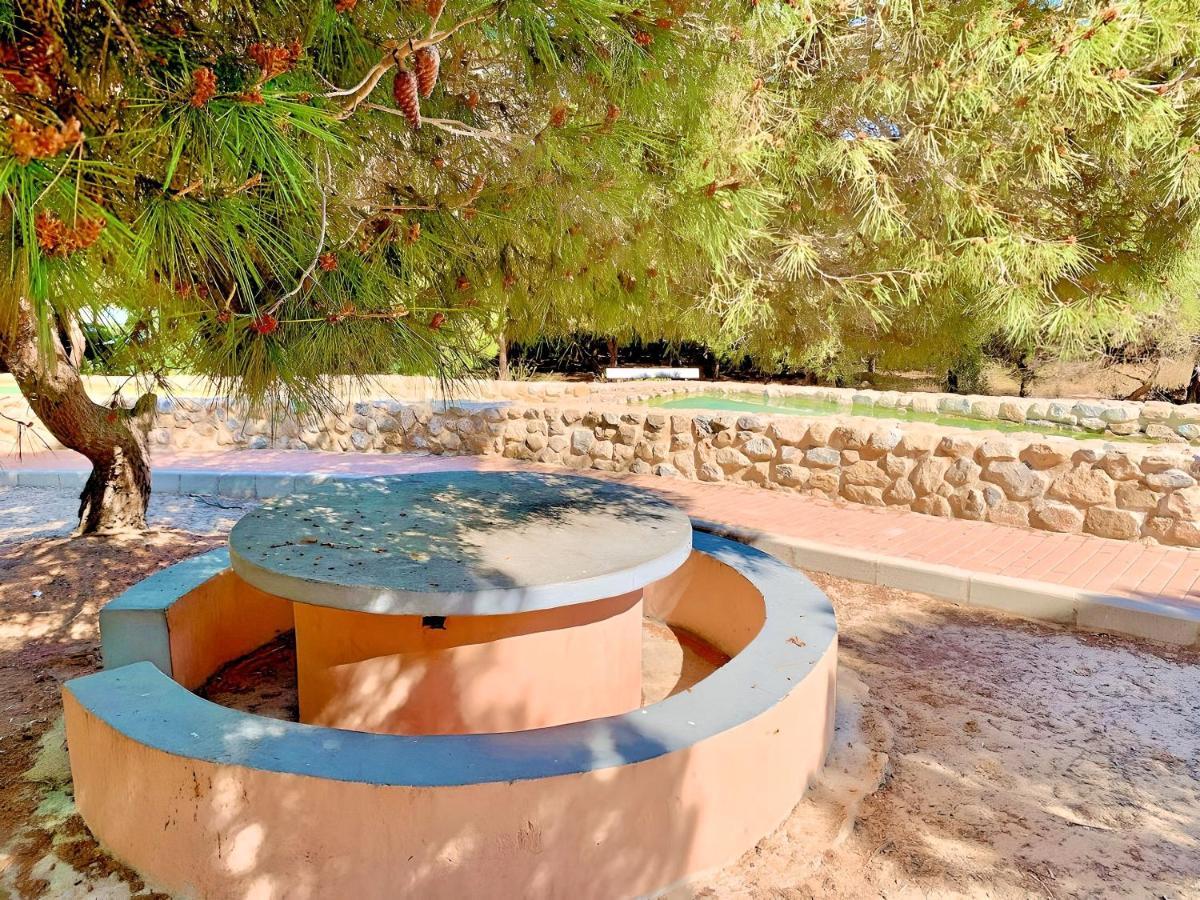 Your Holidays In La Mata تورّيفيِخا المظهر الخارجي الصورة